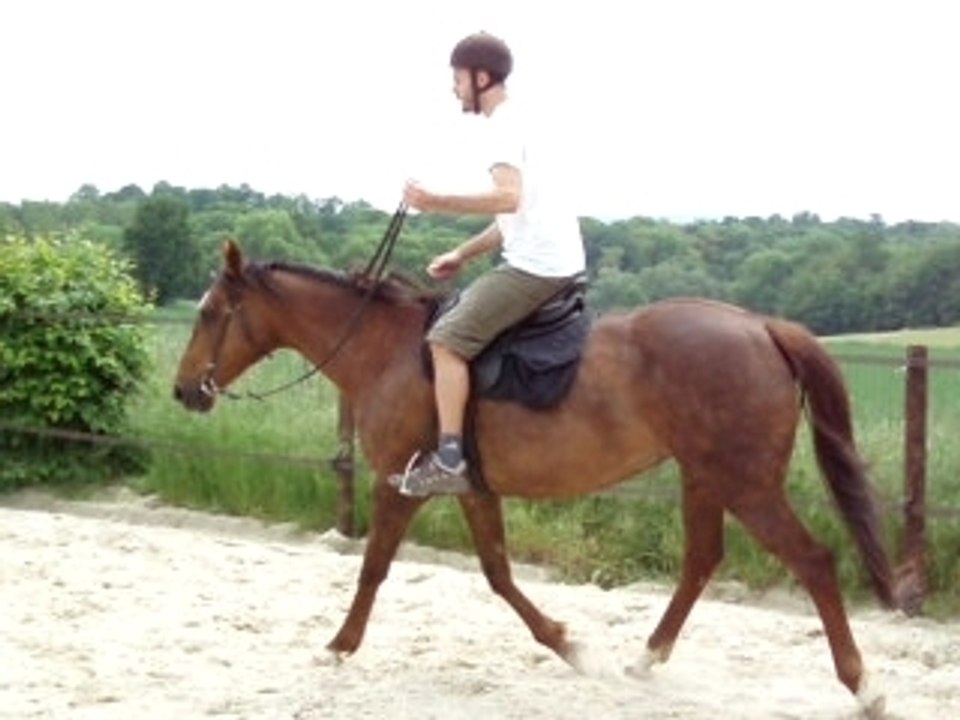 guigui s'excerce au trot enlevé