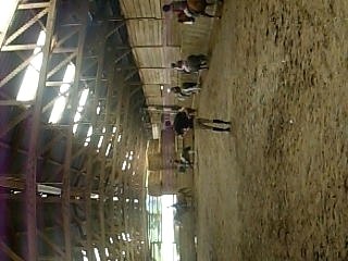 Julie à poney