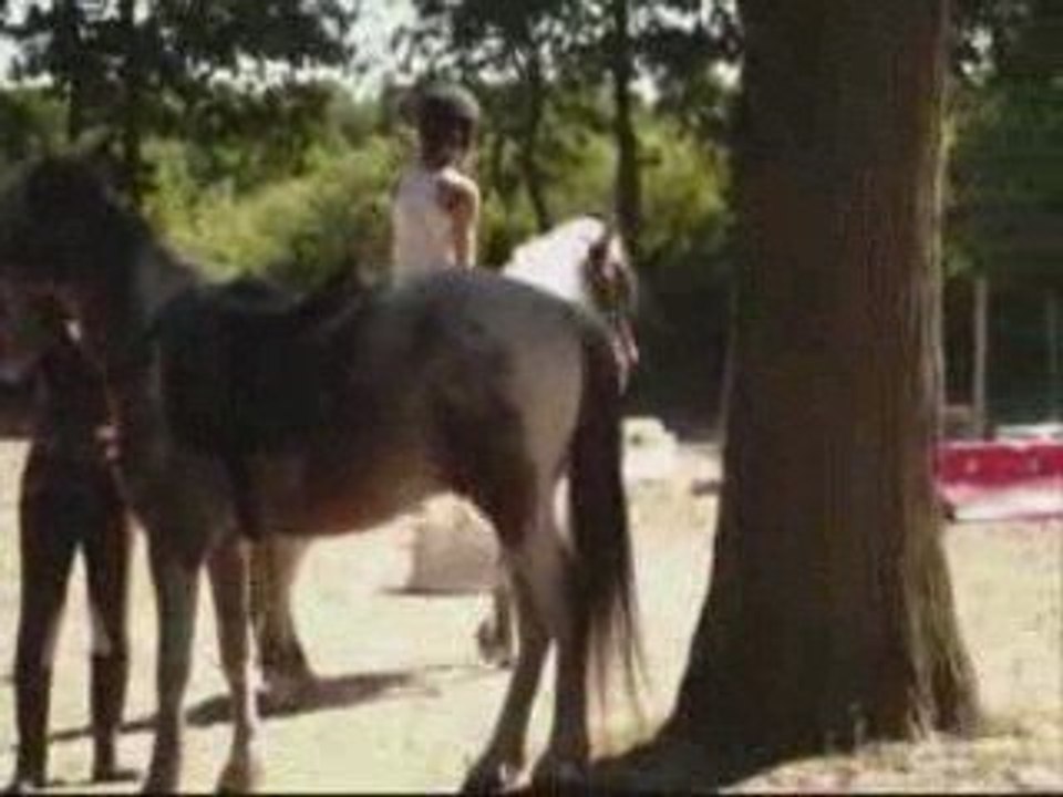 Moi & Gamine, parcours d'obstacles