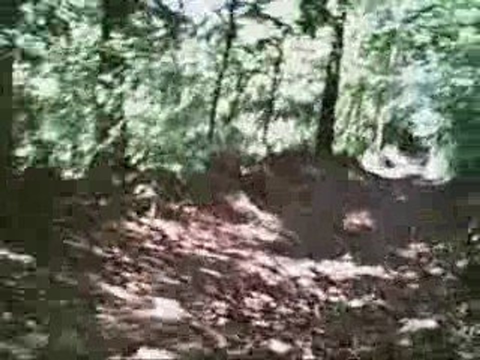 Descente vers seux-montage