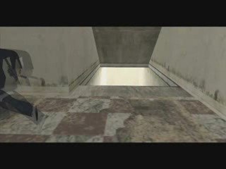 Determinator 5