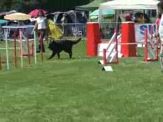 Thorgal jump trophée