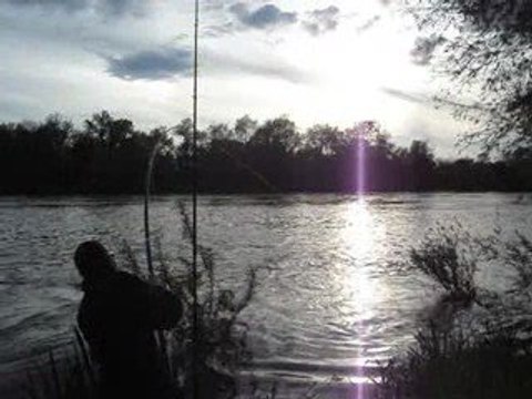 Total mix silures 2009