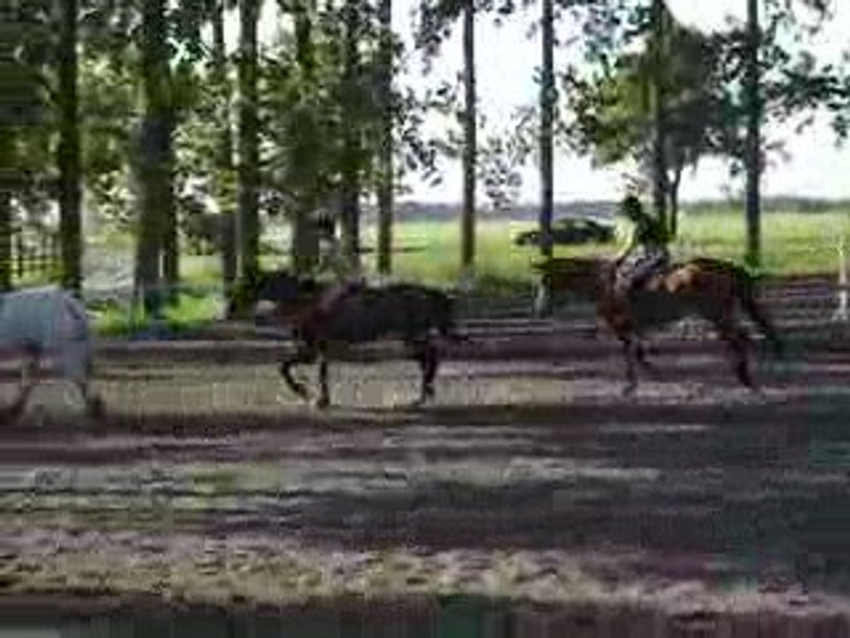 amelia qui saute