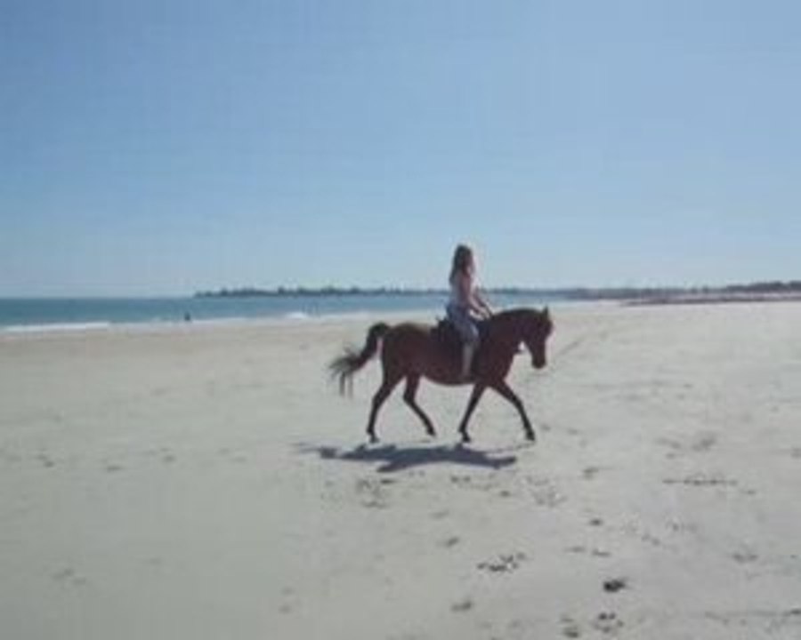 Plage 29 mai 2009
