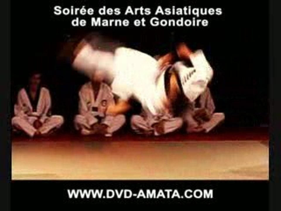 Soirée des Arts Asiatiques de Marne et Gondoire - Martial Ar