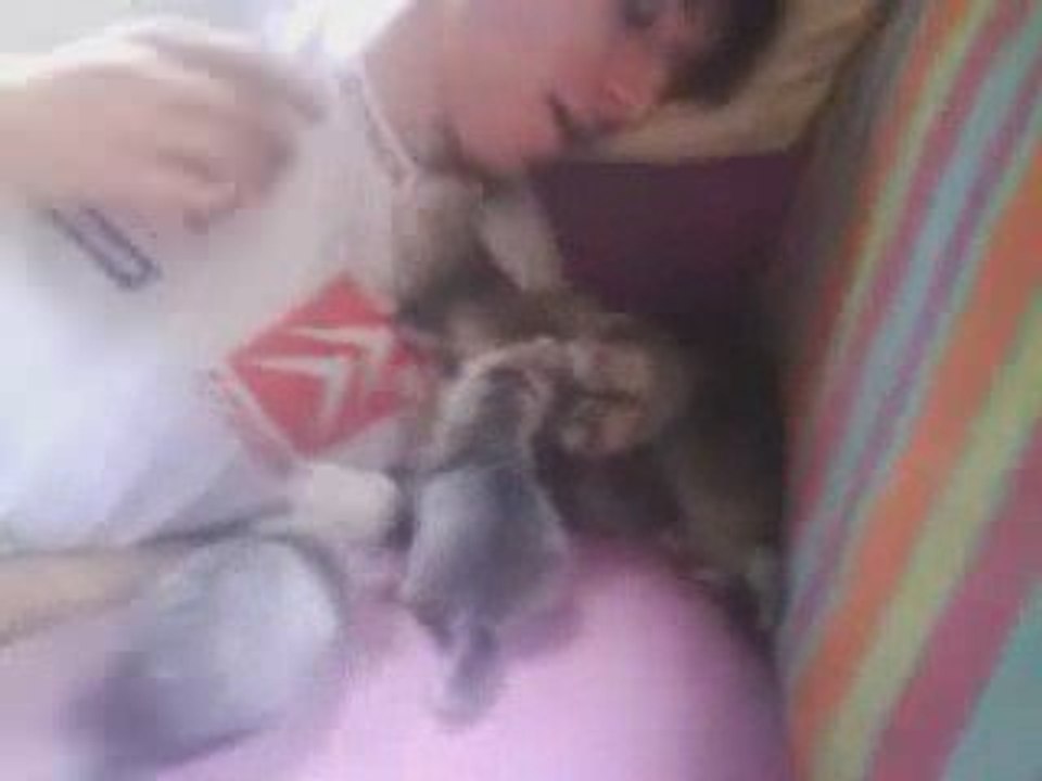 Les 7 petits nains