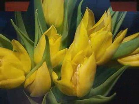 W życiu piękne są tylko chwile