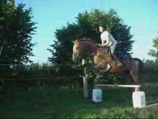 Saut d'obstacle