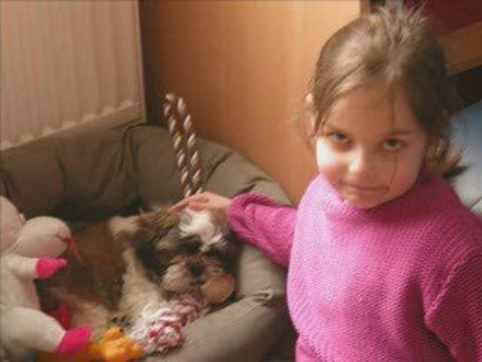 Suko  2