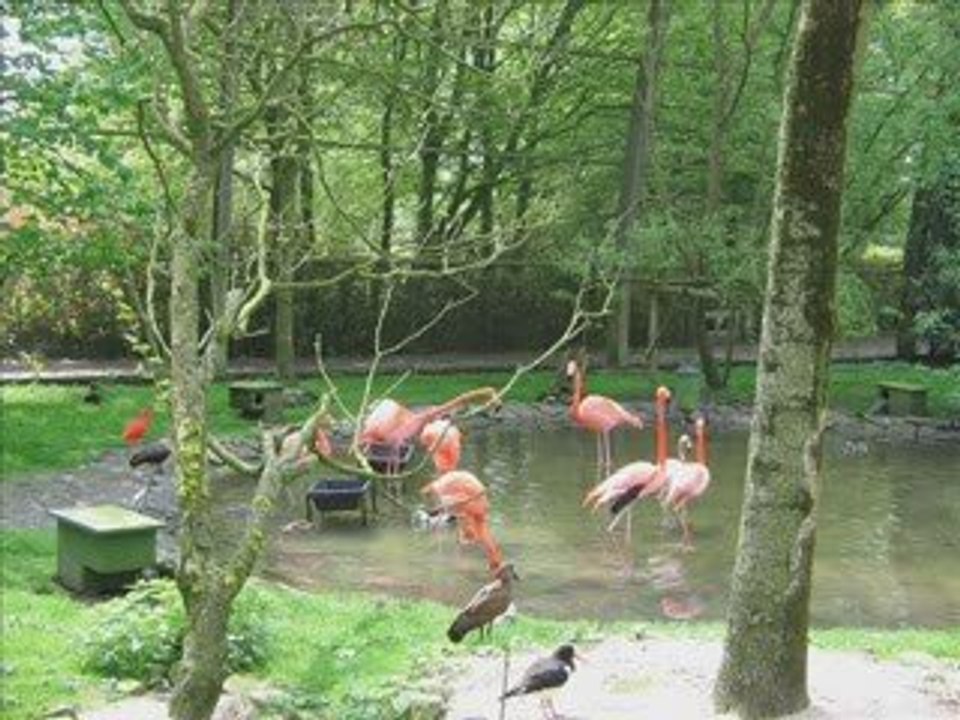 Paradisio 2008-2009