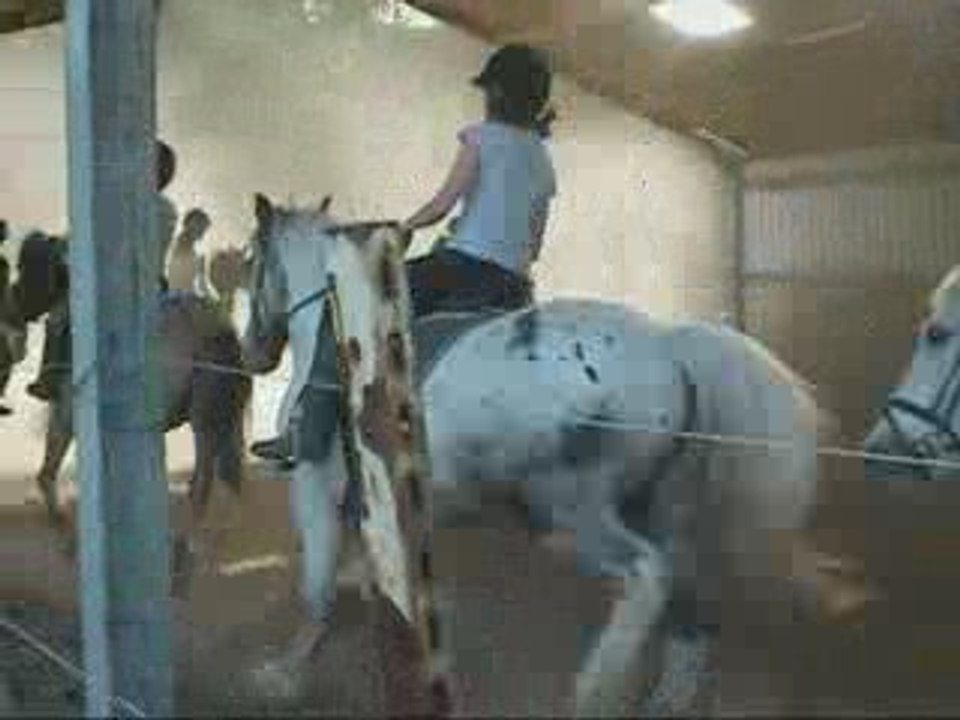 apercu du carrousel