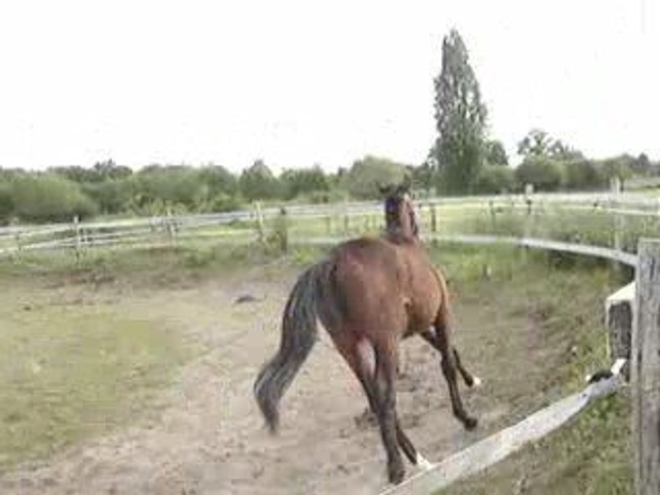 MOV06264