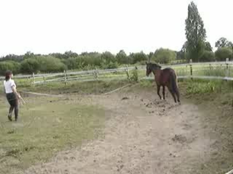 MOV06262