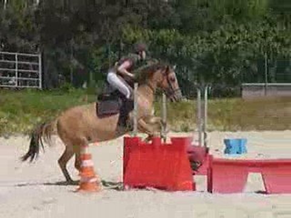Chute de Aline