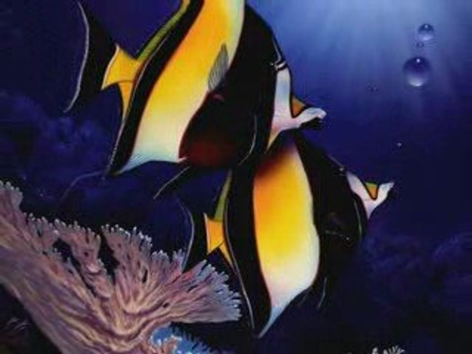 les poissons dans la mer