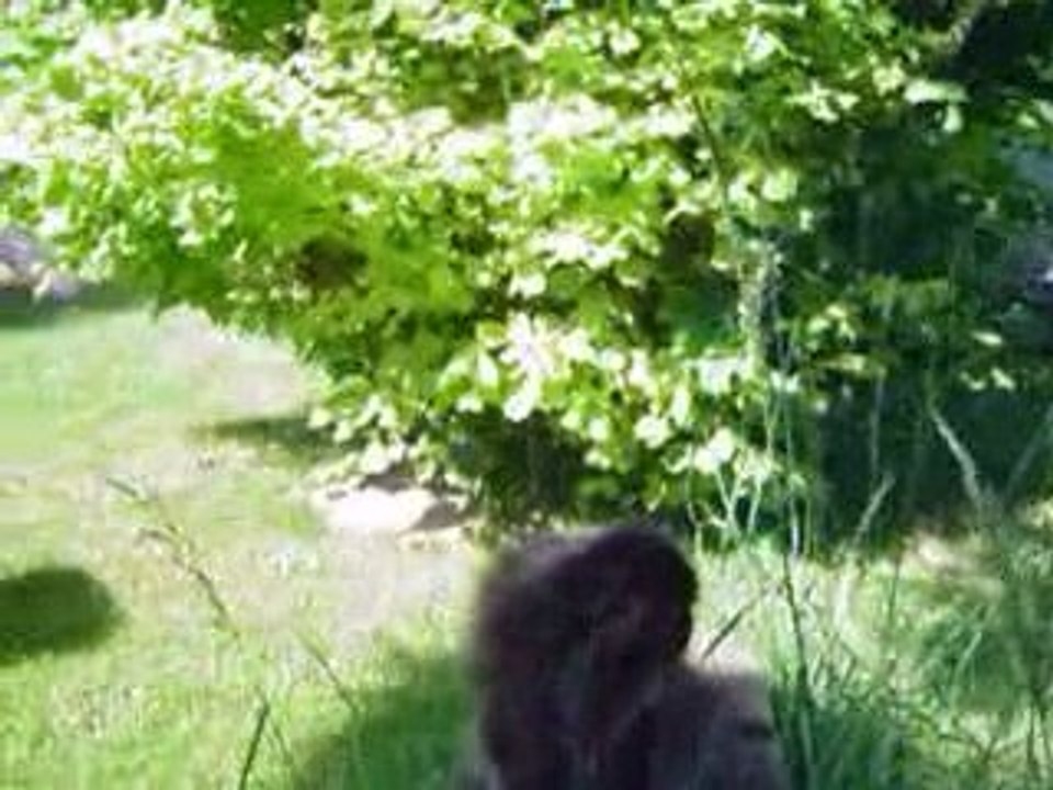 Néfertiti sur le banc