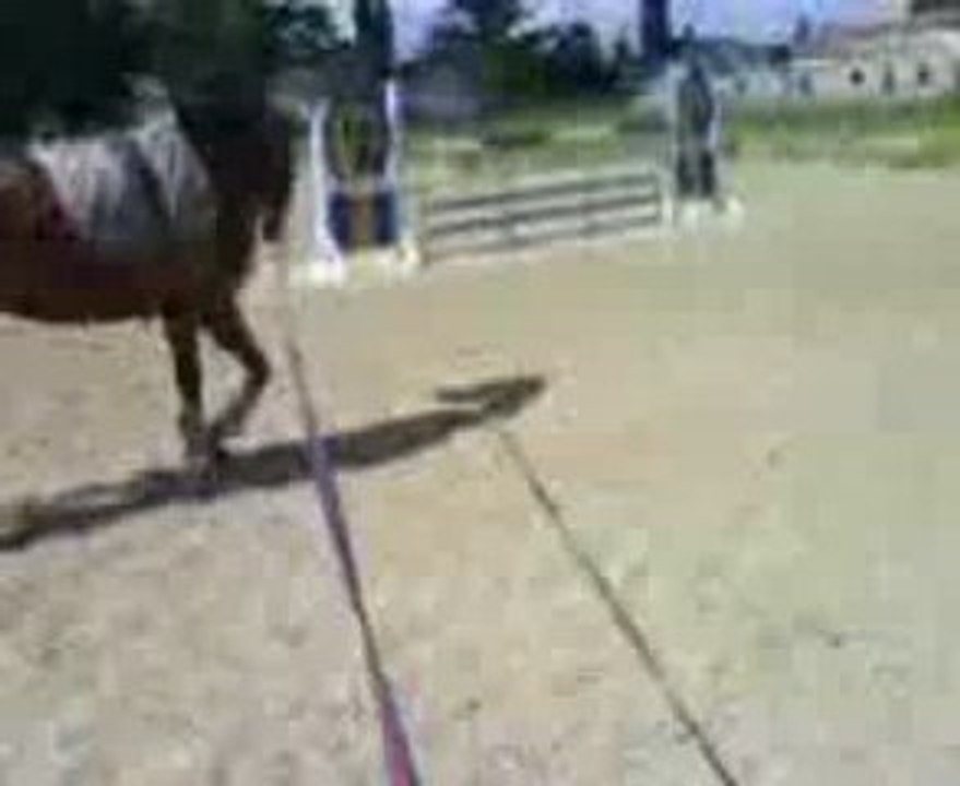 Dimanche 31 mai 2009 longe 1