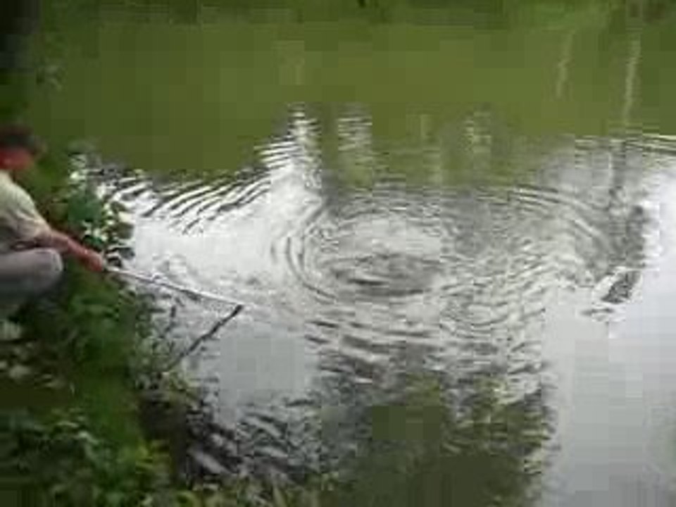 carpe breteuil1