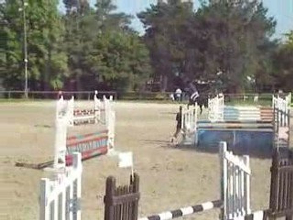 Muse Auvers St Georges 0.95