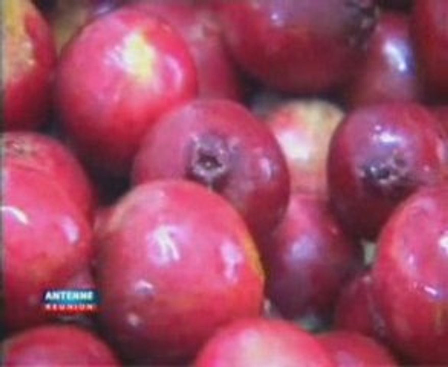 Recettes cuisine au goyavier Plaine des Palmistes La Réunion