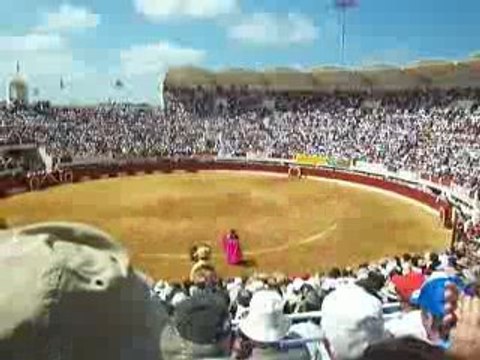Corrida concours à Vic le 31 mai 2009 pique de tienta