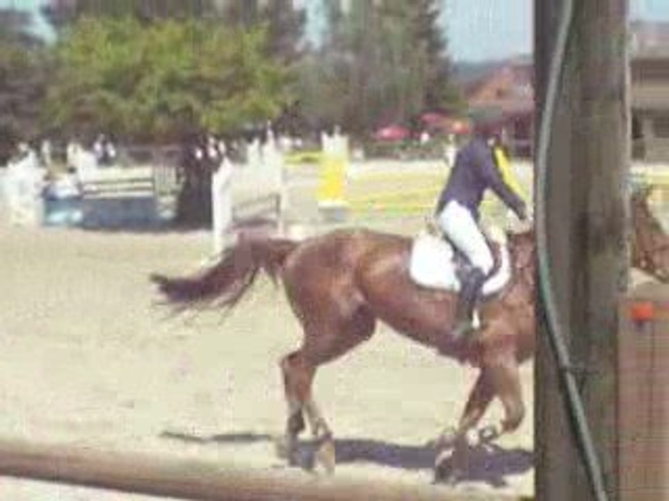 Muse Auvers St Georges 1m