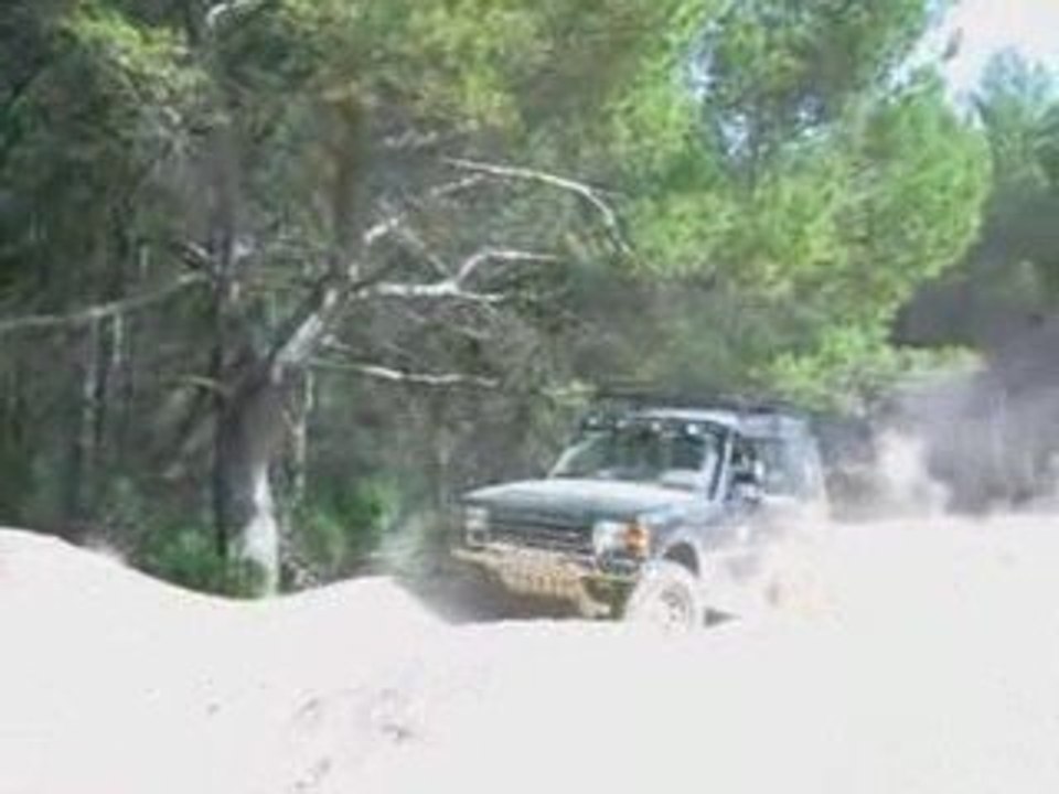 RL 2009