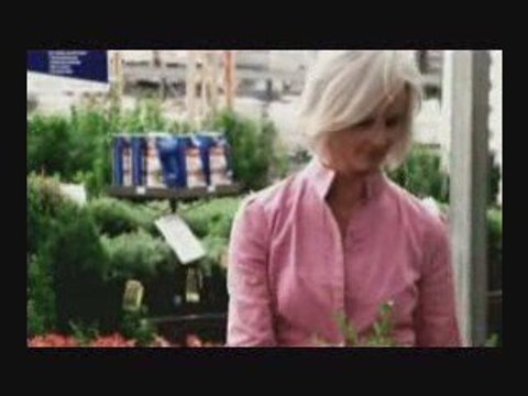 Landscaping and Gardening Ideas for Your Backyard Space