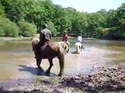 balade foret Rambouillet étang