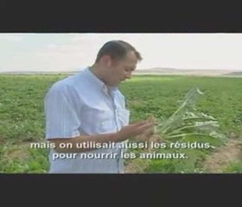 LLP - 08-01-18 - L'Argent Chute de l'Argentine 1 sur 4