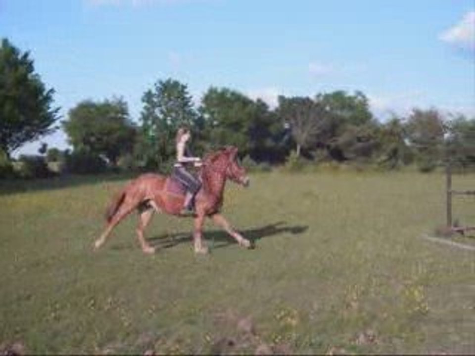Cha et moi 1M