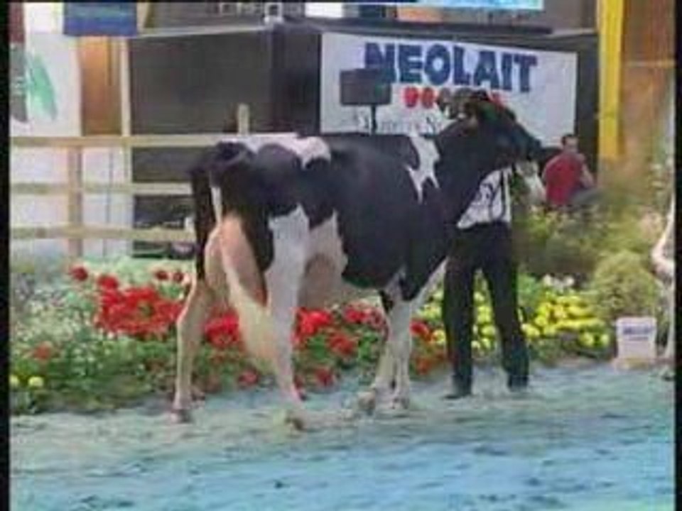 National Prim'holstein -extraits vidéo prix espoir et jeunes