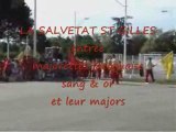 Salvetat-st-gilles-09