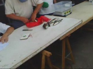 Film challenge à cavalaire 2009