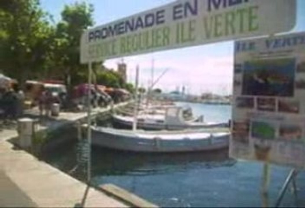 Depart ile verte