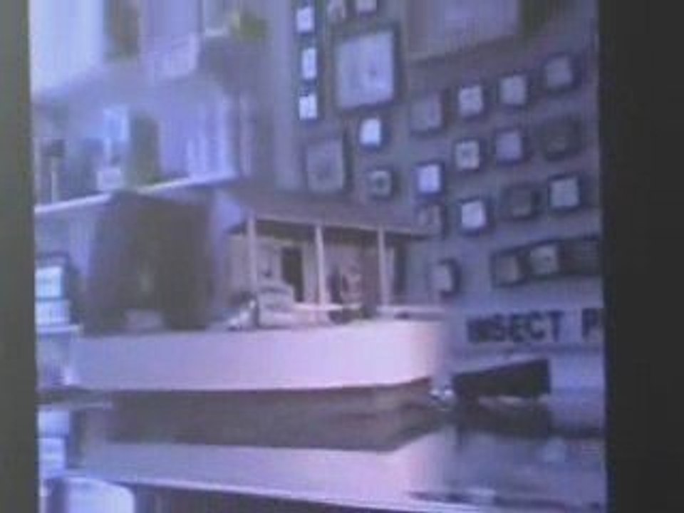 Cockroach Hall of Fame