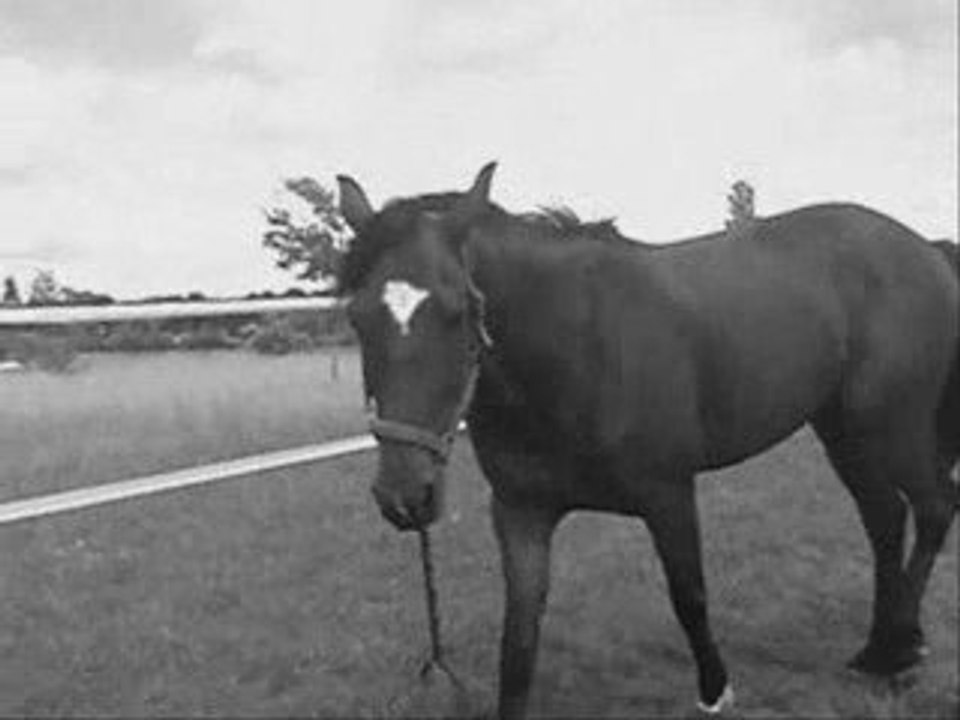 Halmour ♥