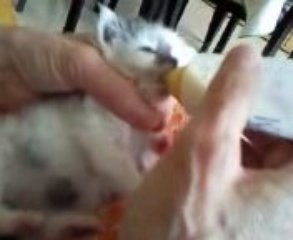 C'est l'heure du biberon