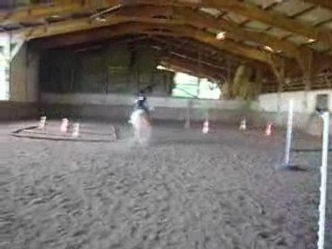 Coline & Diana 2 - CONCOURS JUIN 2009