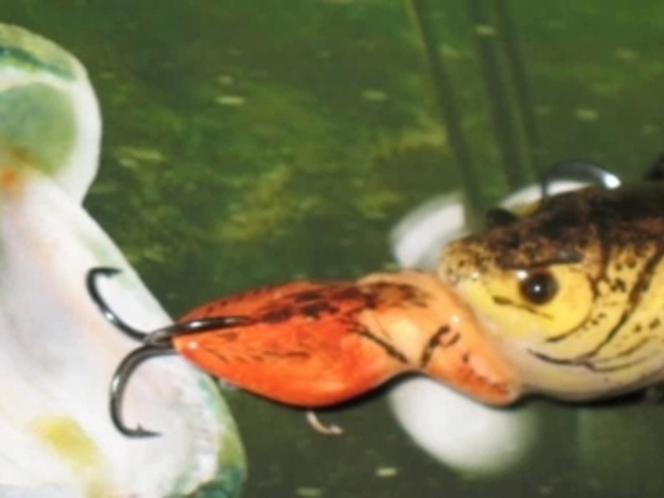 Показ самодельных воблеров. Загружено : dimanik