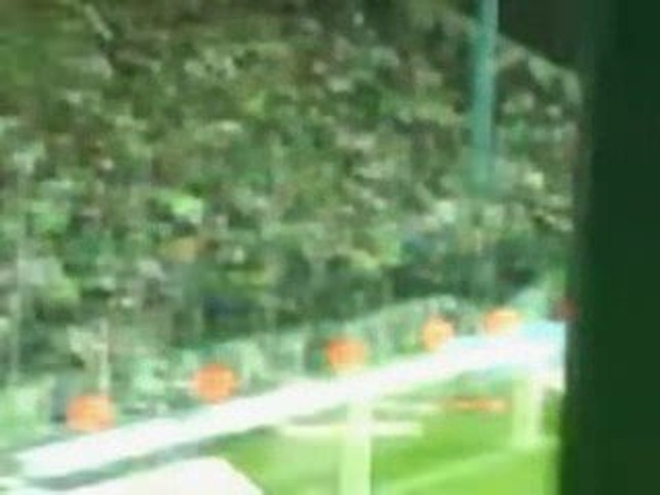 Asse-VAFC ---> But Mirallas en LIVE