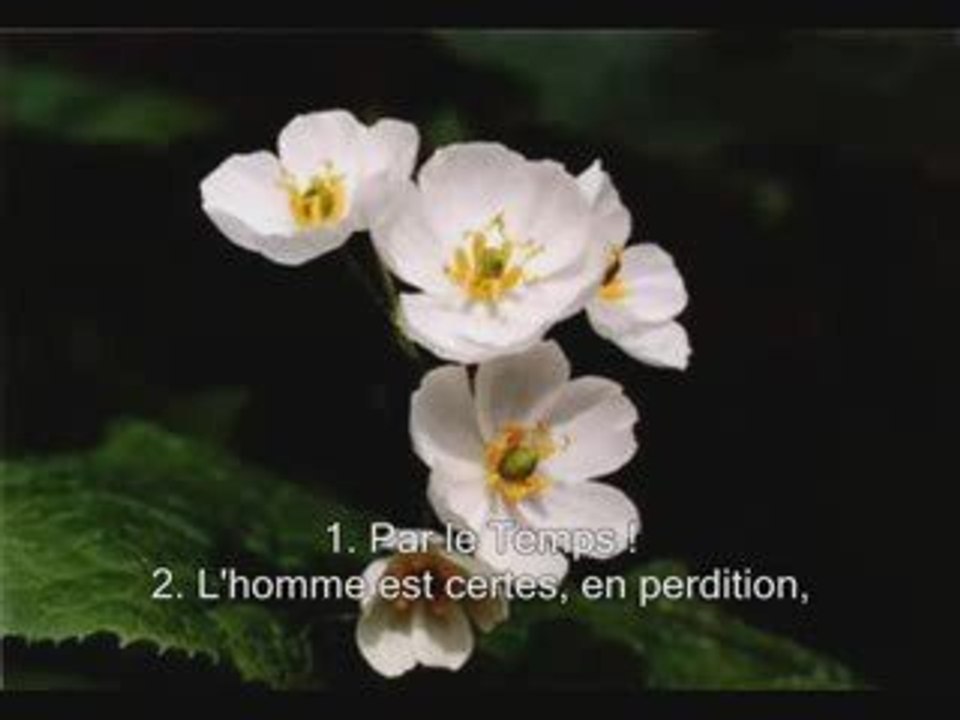 Sourate 103. Le temps Al-Asr sous titrée en français