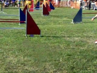 Concours mondelange 022