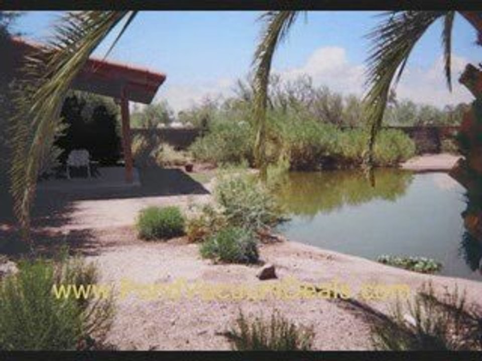 Effective Ponds Vacuum