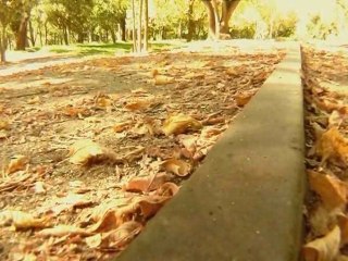 Visual de Otoño 🍁