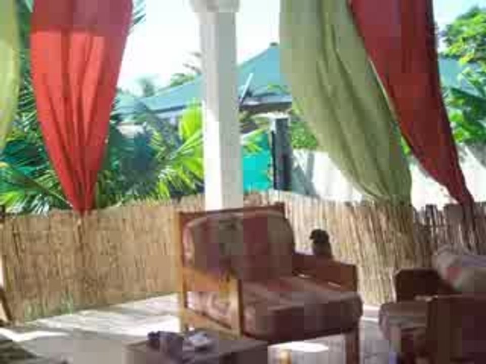 Willou sous le vent de Tahiti