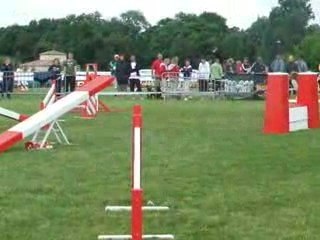 Kyran agility 2 trophée