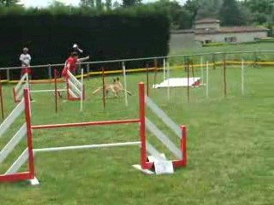 (Arlette) agility 2 trophée