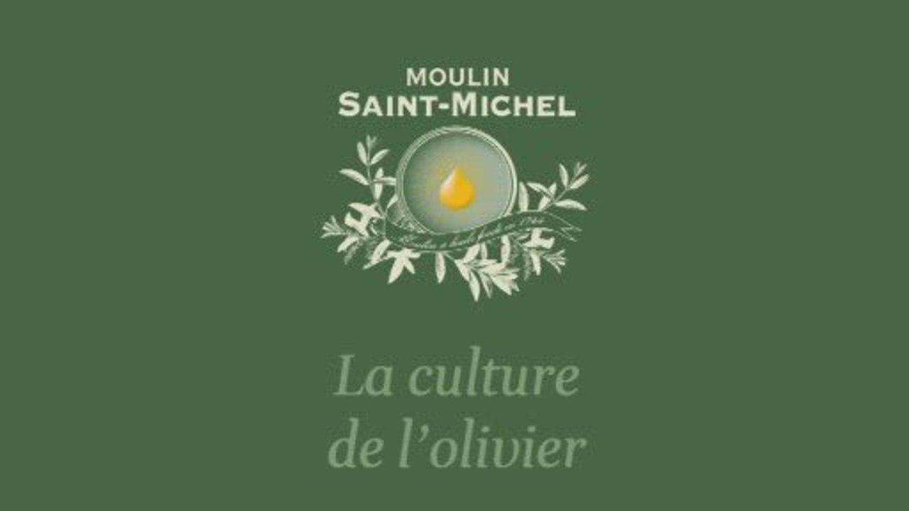 L'huile d'olive - Le film en entier